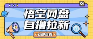 全网首发悟空网盘云真机自撸拉新项目玩法单机可挣10.20不等-稀缺资源库