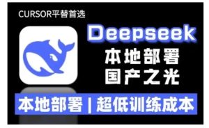 2025年deepseek R1 大型模型本地安装部署(文件+教程)本地部署,超低训练成本-稀缺资源库