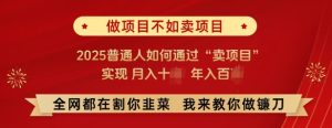 必看,做项目不如卖项目,2025普通人如何通过“卖项目”实现月入十个,年入百个-稀缺资源库