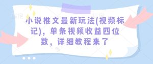 小说推文最新玩法(视频标记)，单条视频收益四位数，详细教程来了-稀缺资源库