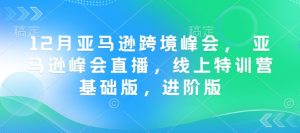 12月亚马逊跨境峰会， 亚马逊峰会直播，线上特训营基础版，进阶版-稀缺资源库