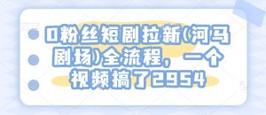 0粉丝短剧拉新(河马剧场)全流程,一个视频搞了2954-稀缺资源库