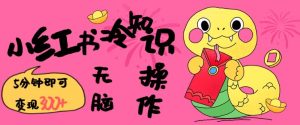 小红书冷知识账号,无脑复制粘贴,5分钟即可变现3张-稀缺资源库