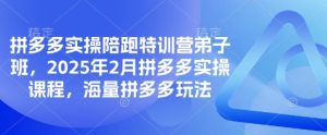 拼多多实操陪跑特训营弟子班,2025年2月拼多多实操课程,海量拼多多玩法-稀缺资源库