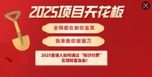 2025项目天花板普通人如何通过知识付费,实现财F自由【揭秘】-稀缺资源库