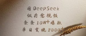 用DeepSeek做疗愈视频,条条10W+爆款,单日变现多张-稀缺资源库