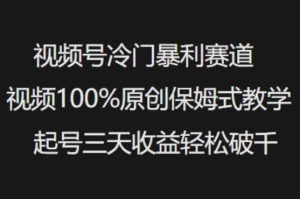 视频号冷门暴利赛道视频100%原创保姆式教学起号三天收益轻松破千-稀缺资源库