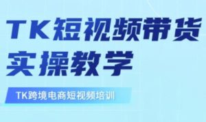 东南亚TikTok短视频带货,TK短视频带货实操教学-稀缺资源库