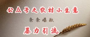 deepseek写农村小项目，条条爆款，暴力引流-稀缺资源库