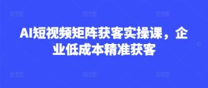 AI短视频矩阵获客实操课,企业低成本精准获客-稀缺资源库