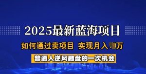 2025蓝海项目,普通人如何通过卖项目,实现月入过W,全过程【揭秘】-稀缺资源库