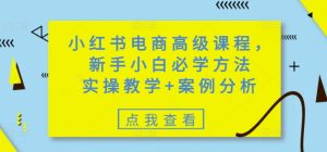 小红书电商高级课程,新手小白必学方法,实操教学+案例分析-稀缺资源库