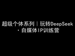 超级个体系列，玩转DeepSeek·自媒体IP训练营，deepseek教程-稀缺资源库