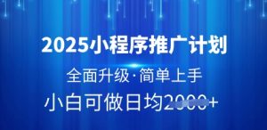 2025小程序推广计划,全面升级,简单上手,日均多张【揭秘】-稀缺资源库