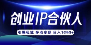 云帆·创业ip合伙人打造3.0,从0到1教你做网创,实现月入过W-稀缺资源库