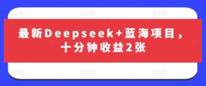 最新Deepseek+蓝海项目，十分钟收益2张-稀缺资源库
