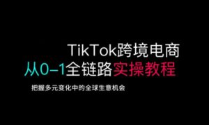 TikTok跨境电商从0-1全链路全方位实操教程，把握多元变化中的全球生意机会-稀缺资源库