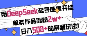 用DeepSeek起号速度开挂,单条作品涨粉2w+,日入5张+的暴利玩法-稀缺资源库