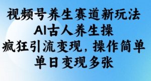 视频号养生赛道新玩法，AI古人养生操，疯狂引流变现，操作简单，单日变现多张-稀缺资源库