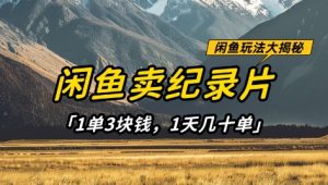 闲鱼卖纪录片1单3块钱，1天几十单，项目稳定有潜力-稀缺资源库