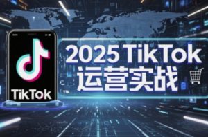 2025TikTok电商运营,掌握TikTok店铺运营核心技巧,实现低成本高转化-稀缺资源库