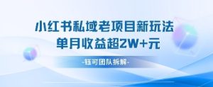 小红书私域项目新玩法,单月变现过W+-稀缺资源库