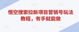 悟空搜索拉新项目营销号玩法教程，有手就能做-稀缺资源库