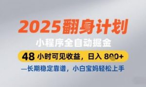 2025小程序全自动掘金,48 小时可见收益,日入8张,长期稳定靠谱,小白宝妈轻松上手【揭秘】-稀缺资源库