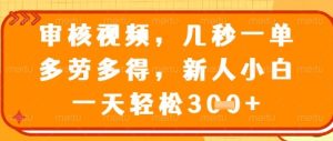 视频审核员，几秒一单，不限时间，不限地点，多做多得，新人小白一天轻松几张+【揭秘】-稀缺资源库