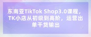 东南亚TikTok Shop3.0课程,TK小店从初级到高阶,运营出单干货输出-稀缺资源库