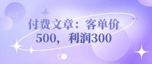 付费文章:客单价500,利润300-稀缺资源库