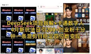 DeepSeek项目拆解+卡通数字人,4月新玩法日引200+创业粉十分钟一条混剪日稳定四位数变现-稀缺资源库