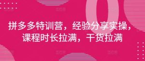 拼多多特训营，经验分享实操，课程时长拉满，干货拉满(更新25年4月)-稀缺资源库