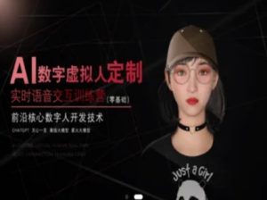 AI数字虚拟人定制,实时语音交互训练营(零基础),前沿核心数字人开发技术-稀缺资源库