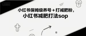 小红书保姆级养号+打减肥粉，小红书减肥打法sop-稀缺资源库