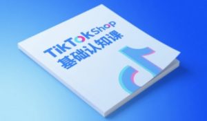 TikTok小店基础认知课,助力学员从 0 到 1 掌握 TikTok 电商运营全链路认知-稀缺资源库
