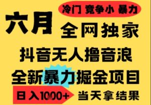 25年6月高爆抖音无人直播最新撸音浪掘金项目，小白可做，无脑日入1k+，门槛低可批量矩阵【揭秘】-稀缺资源库