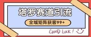 小红书某音塔罗赛道引流获客 自热矩阵日引200+【揭秘】-稀缺资源库