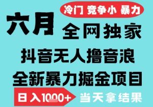 2025年6月高爆抖音无人直播最新撸音浪掘金项目，无脑日入1k+，低门槛小白可做，可矩阵放大【揭秘】-稀缺资源库