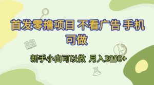 首发零撸项目 不看广告 手机可做 新手小白可以做  月入3k+【揭秘】-稀缺资源库