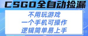 CSGO自动捡漏项目,最新独家玩法,不用挂G不用玩游戏,一个手机即可操作,新手小白轻松月入1W+【揭秘】-稀缺资源库