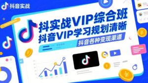 抖音实战VIP综合班，抖音VIP学习规划请晰抖音各种变现渠道-稀缺资源库