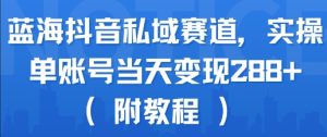蓝海抖音私域赛道，实操单账号当天变现288+(附教程)-稀缺资源库