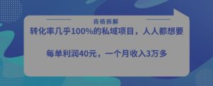 转化率最高的私域项目，每单利润40-50米，月入过1w-稀缺资源库