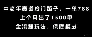 中老年赛道冷门路子，一单788，上个月出了1500单，全流程玩法，保底模式【揭秘】-稀缺资源库