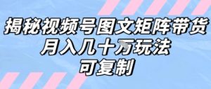 解密视频号图文矩阵带货,月入几个W的打法,可复制-稀缺资源库