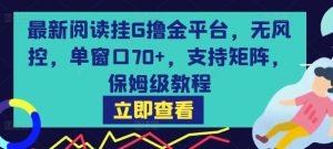 最新阅读挂G撸金平台，无风控，单窗口70+，支持矩阵，保姆级教程【揭秘】-稀缺资源库