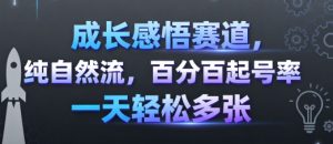 成长感悟赛道，纯自然流，百分百起号率 一天轻松多张-稀缺资源库