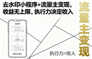 去水印小程序+流量主变现，收益无上限，执行力决定收入-稀缺资源库