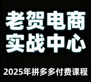 老贺电商2025年拼多多付费课程，用通俗易懂的方法告诉你多多怎么玩-稀缺资源库
